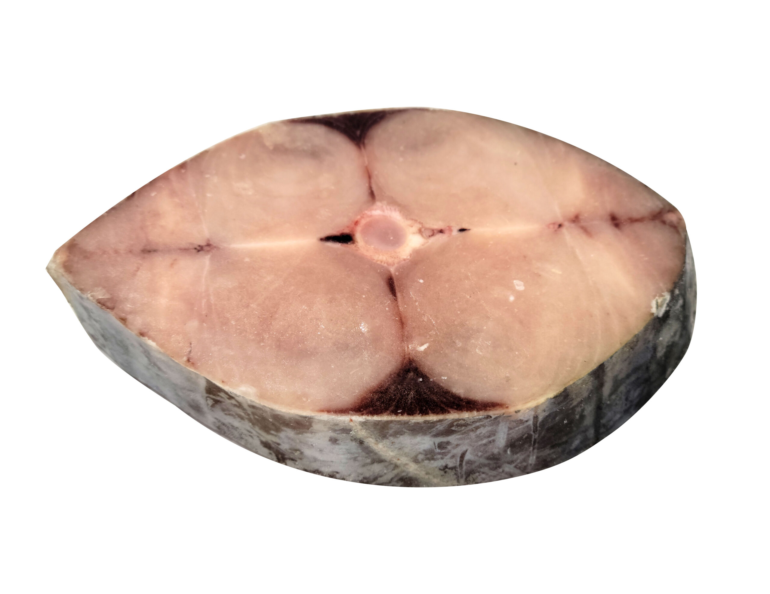 King Fish-Steak